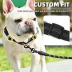 Close up of the shock absorbing bungee handle on dog harness