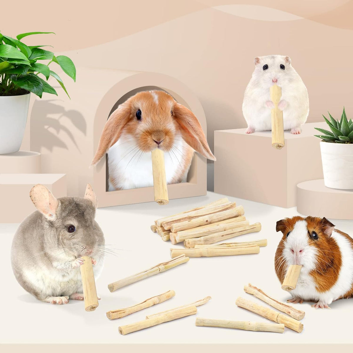 Organic bamboo chew toys for hamsters