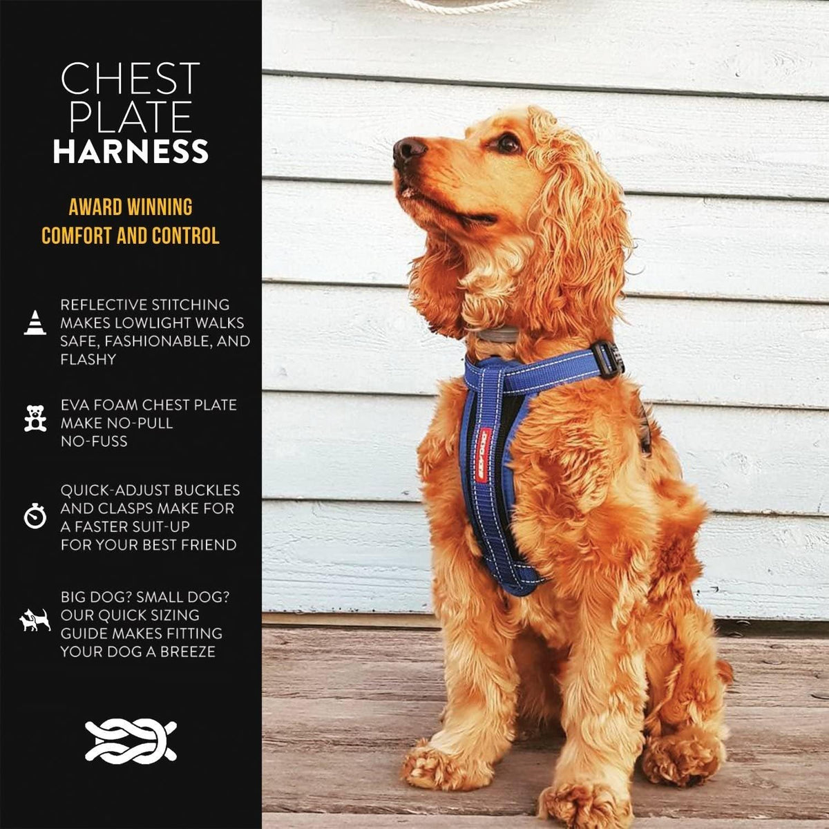 EzyDog Chest Plate harness front view showing ergonomic black chest padding.
