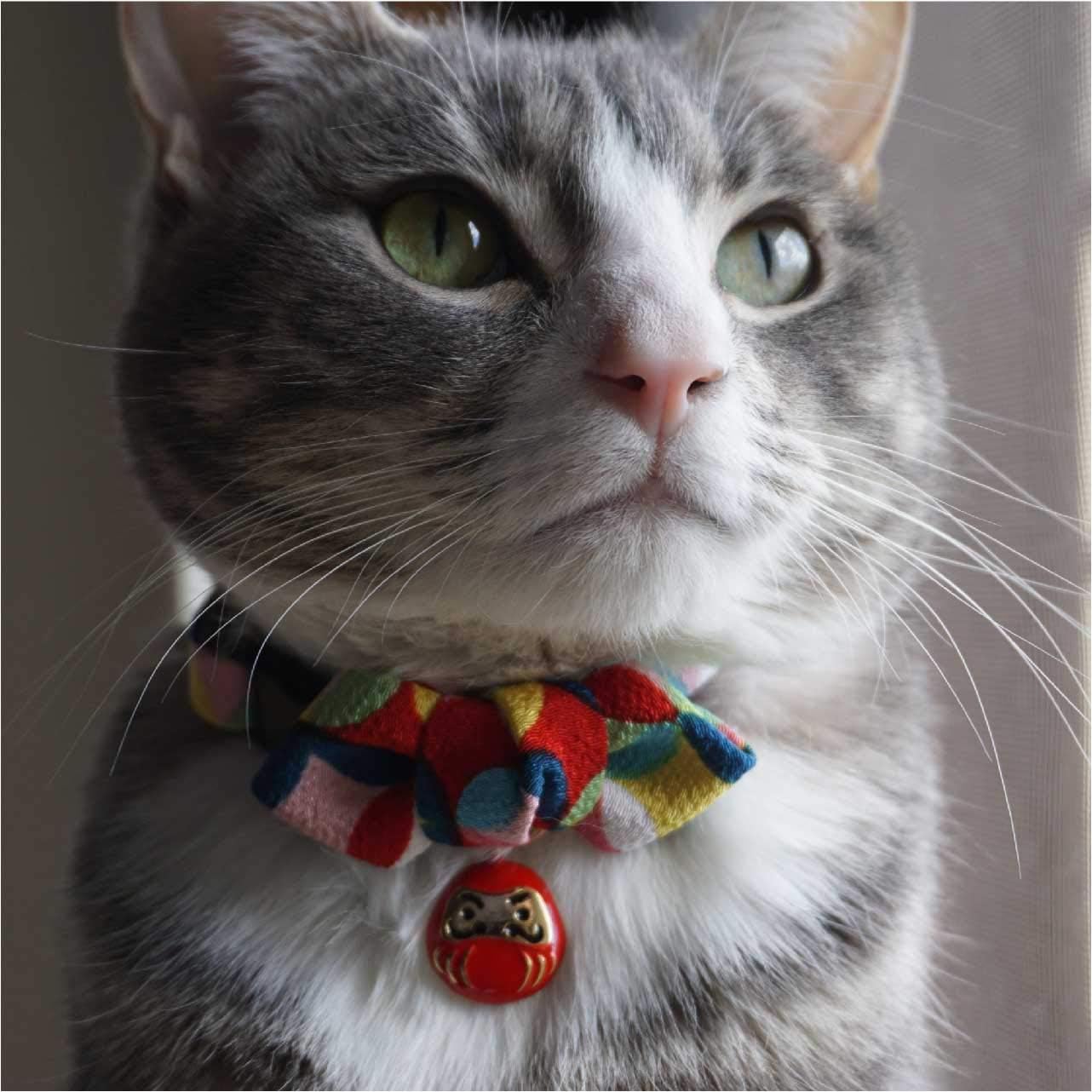 Side profile of Necoichi bow tie cat collar with bell