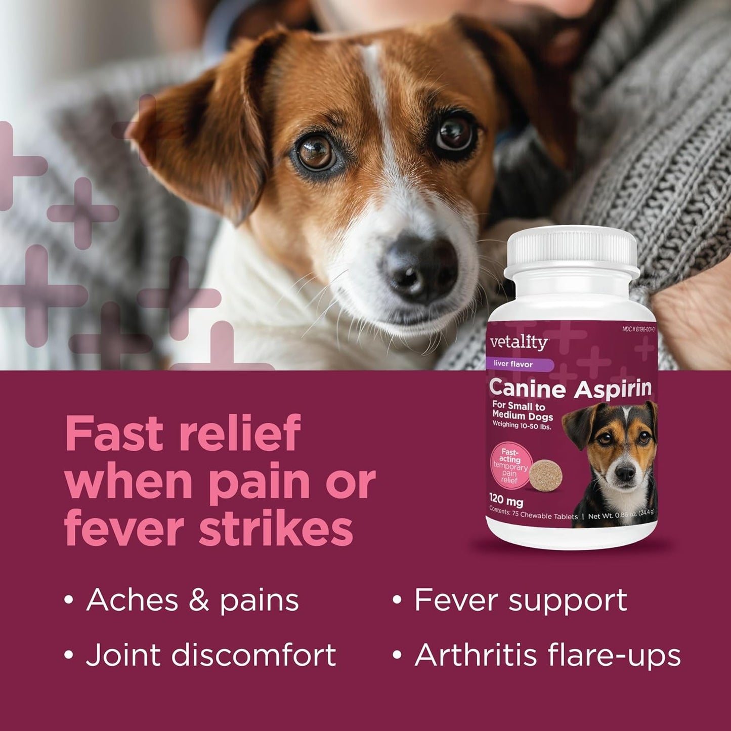 Vetality dog aspirin chewable tablets liver flavor supplement bottle
