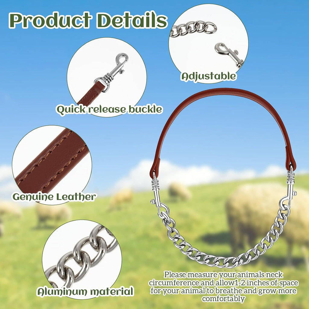 Close up of the durable iron chain link and soft artificial leather handle on the Misdary animal collar