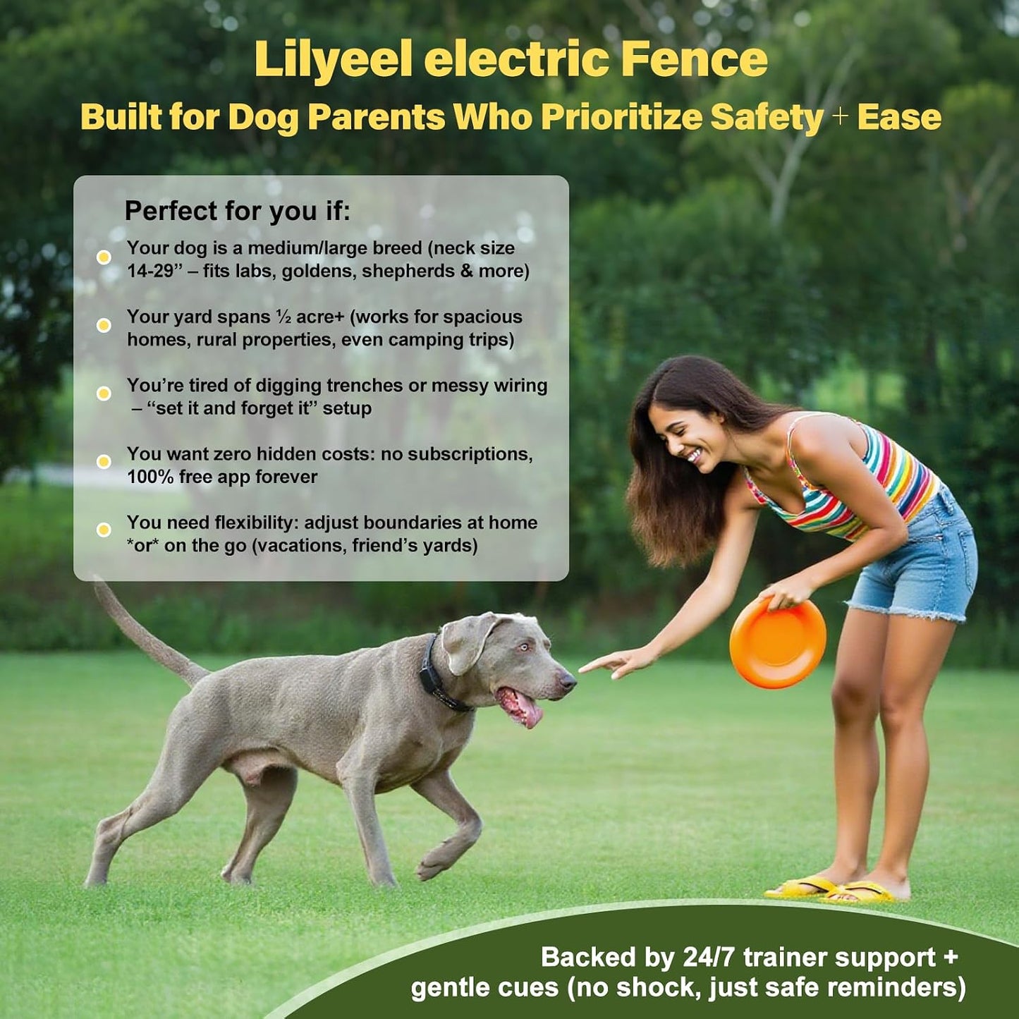 GPS tracking pet fence system box contents featuring the collar, remote, and accessories.