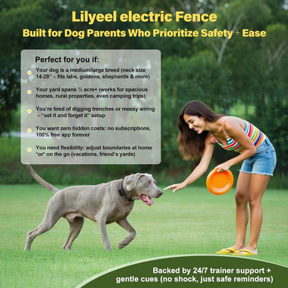 GPS tracking pet fence system box contents featuring the collar, remote, and accessories.