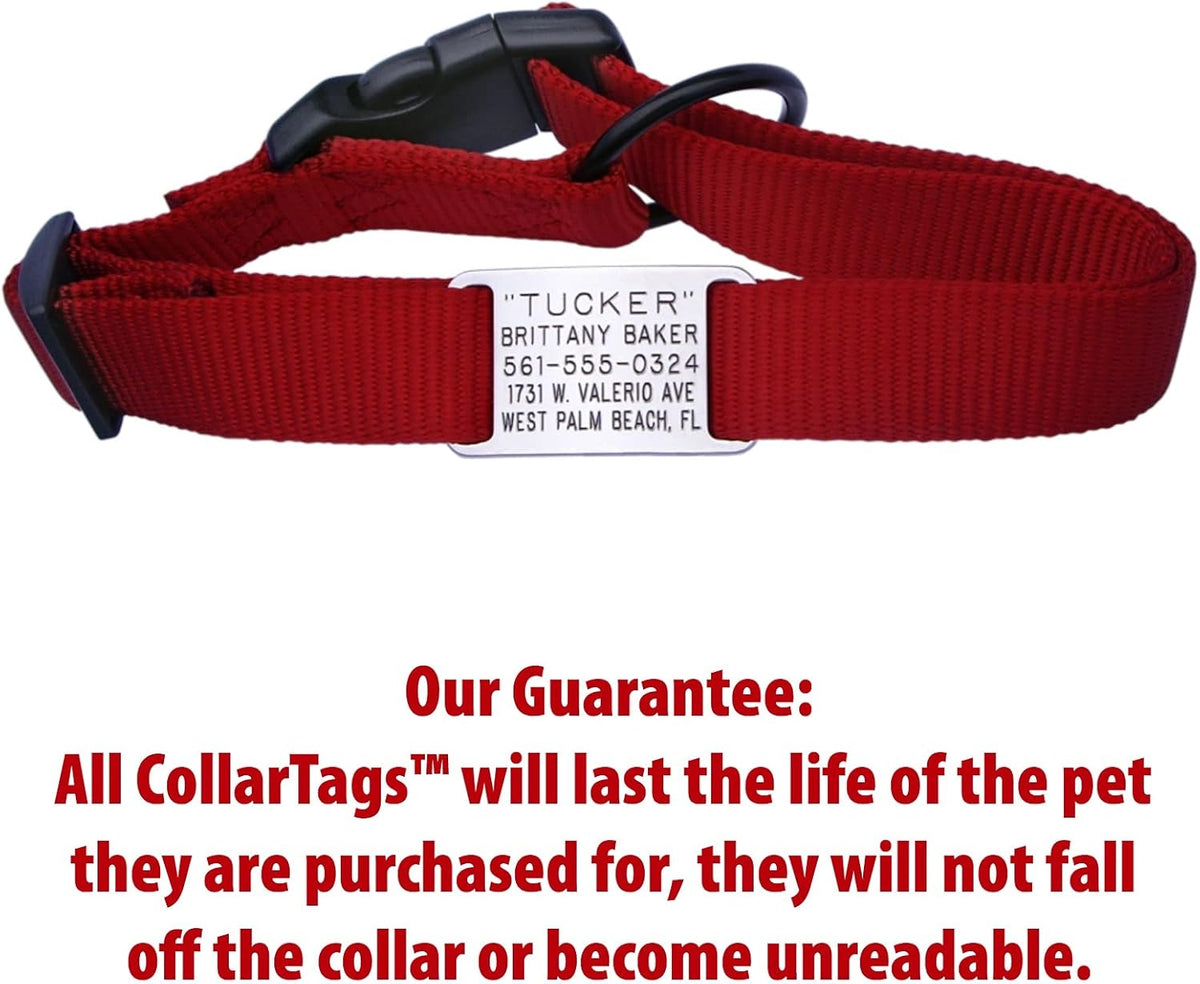 Stainless steel slide on dog name tag for adjustable collars.