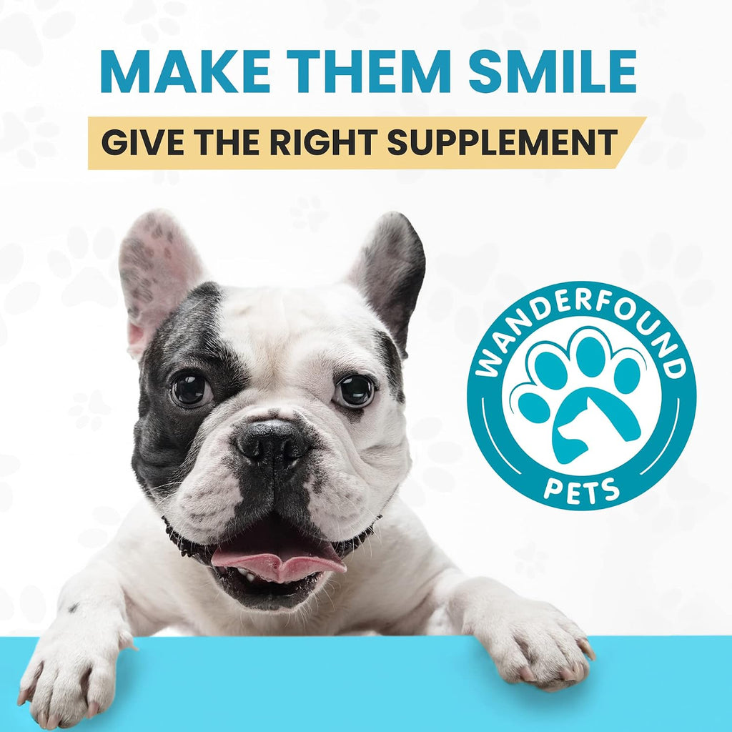 Pawsitive Labs dog immune booster and brain health formula display