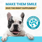 Pawsitive Labs dog immune booster and brain health formula display