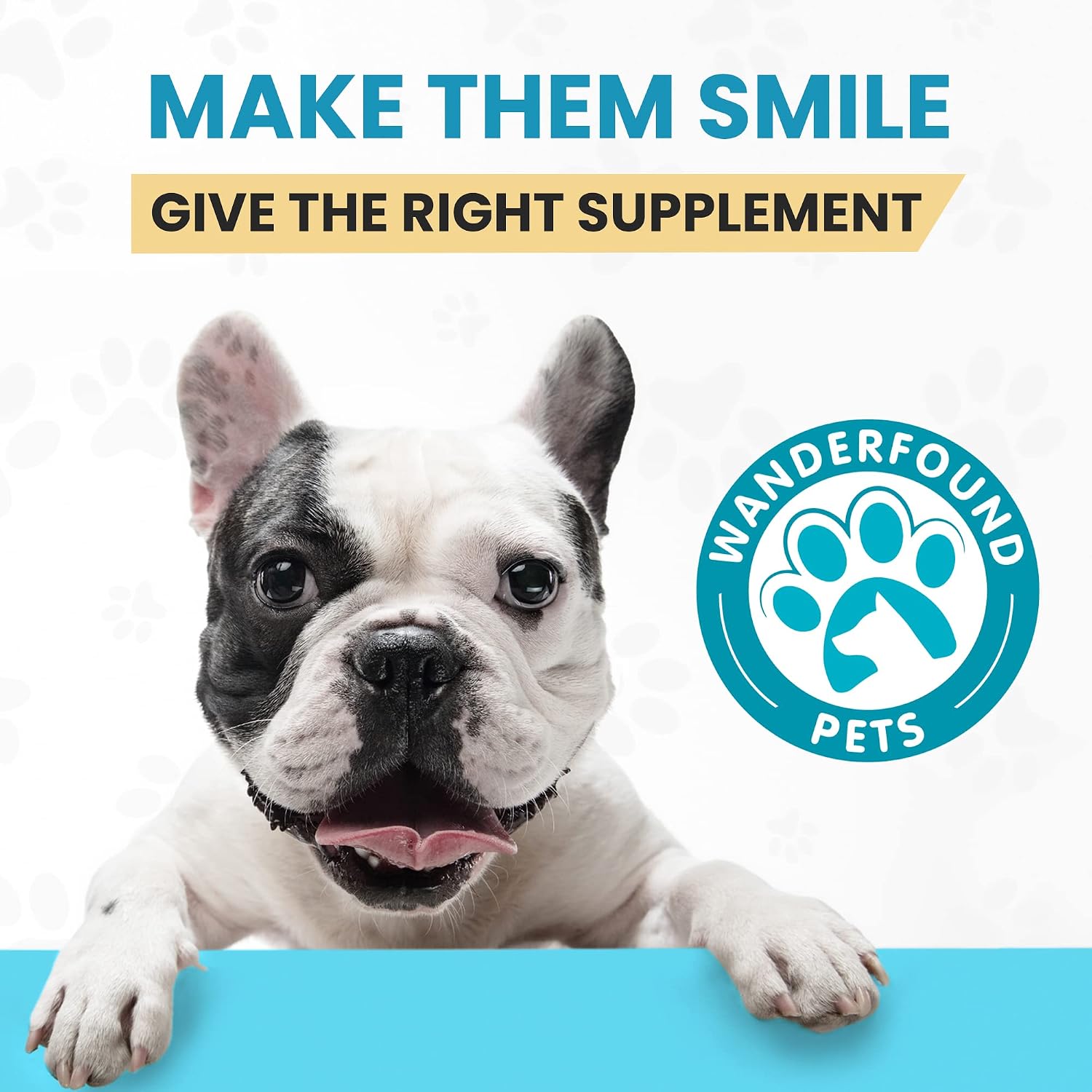 Pawsitive Labs dog immune booster and brain health formula display