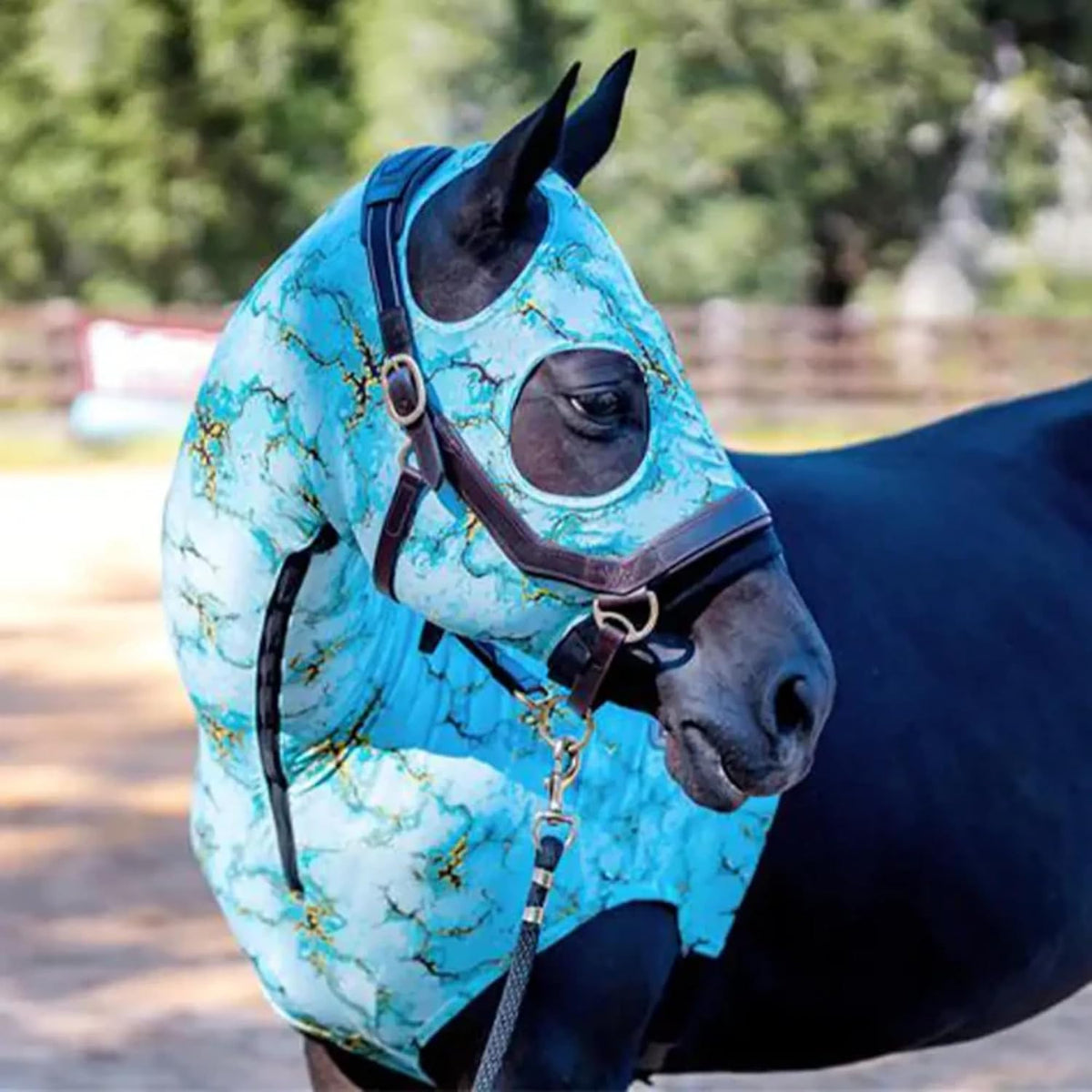 Jeffers Expression hood for pre-show stable use