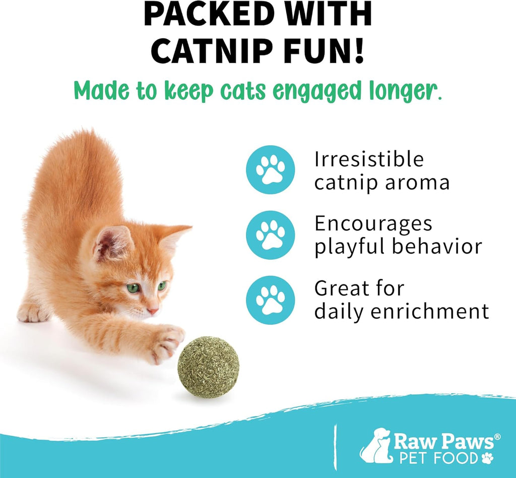 Cat playing interactively with natural catnip ball toy indoors.
