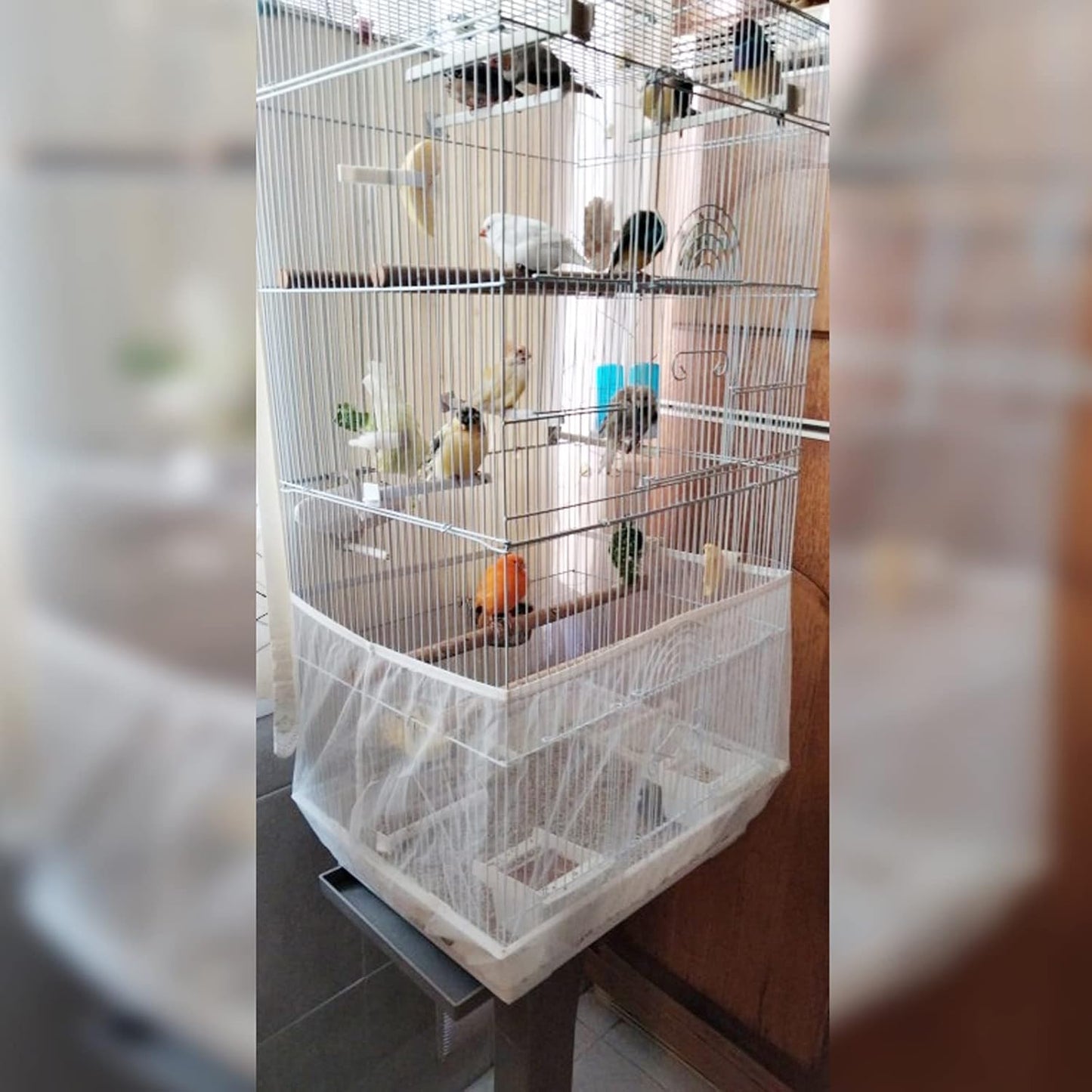 Zarsio bird cage net guard installed on an open play top cage