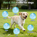 Koosa natural essential oil dog collar packaging