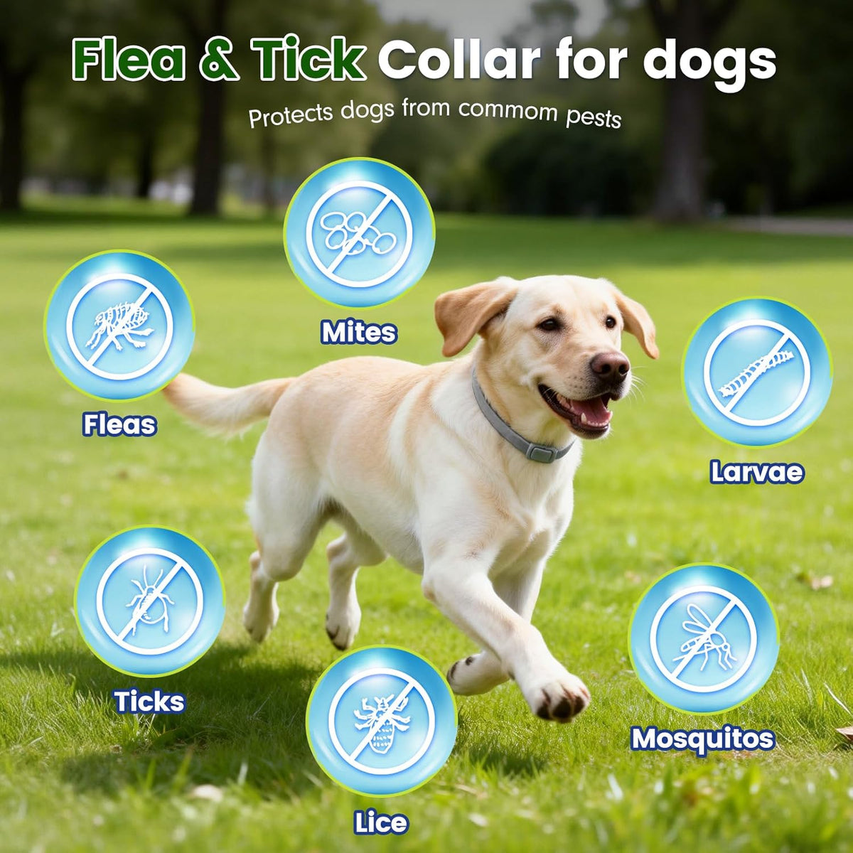 Koosa natural essential oil dog collar packaging