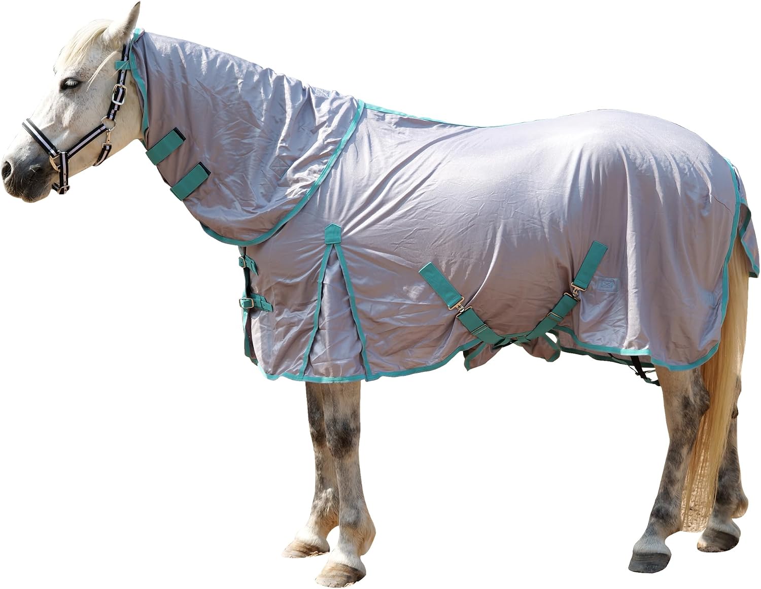 Gallopoff premium horse summer protection sheet standing in pasture view