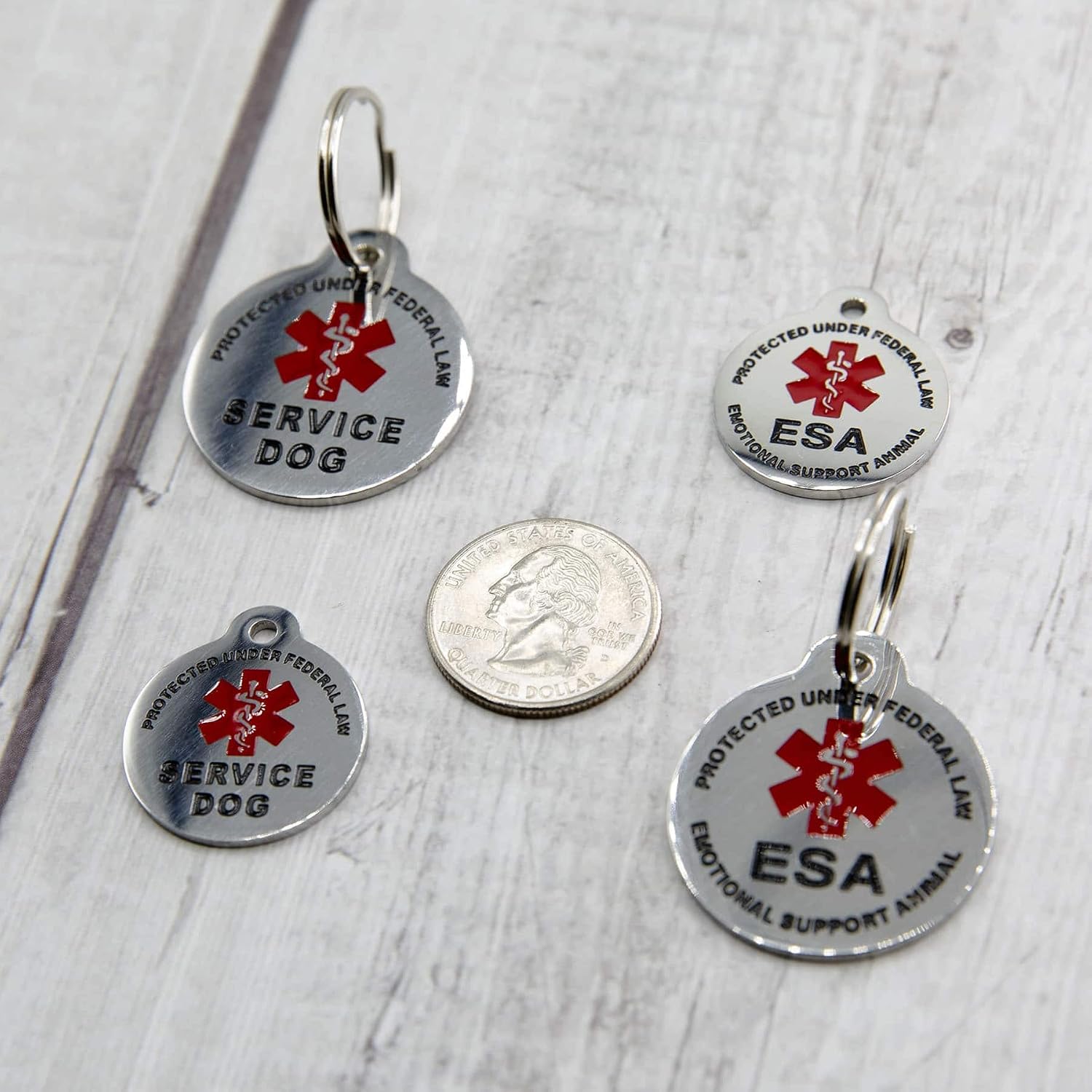 High visibility red enameled emotional support animal identification tag attached securely to a dog harness ring.