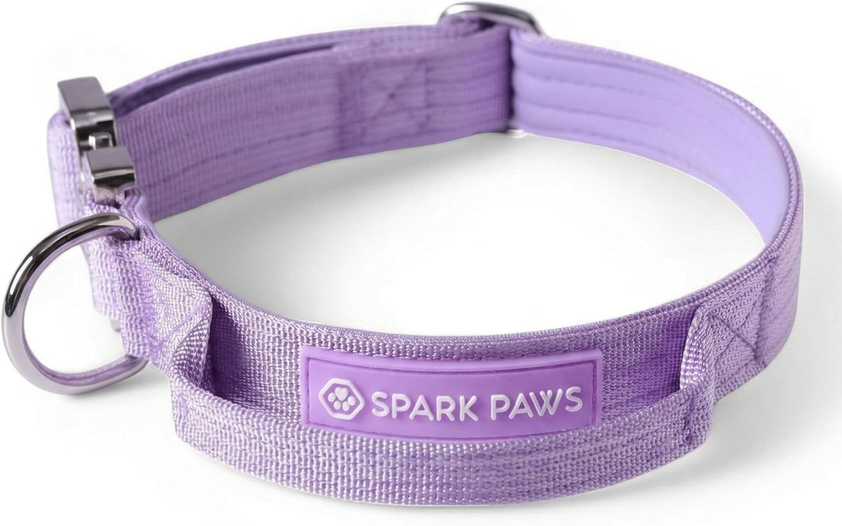 Spark Paws dog collar buckle and D-ring security feature