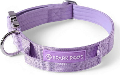 Spark Paws dog collar buckle and D-ring security feature