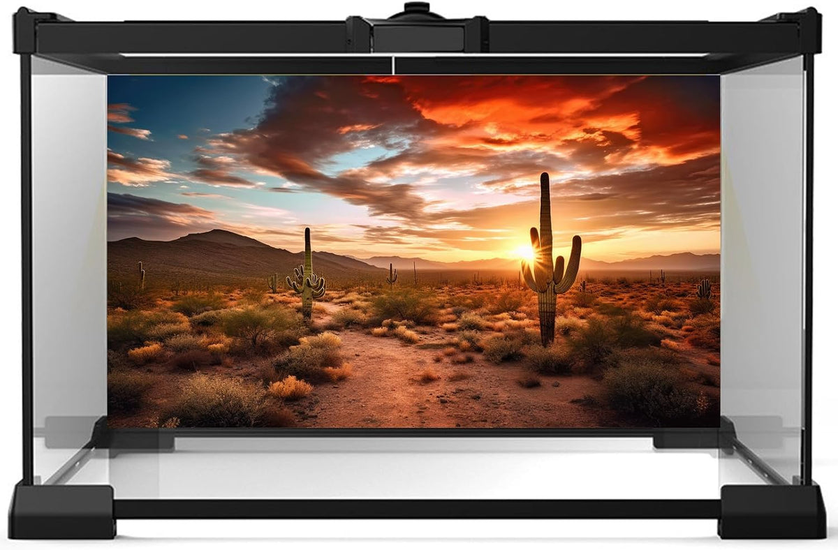 Riivvdise sunset desert terrarium backdrop featuring towering Saguaro cacti silhouettes.