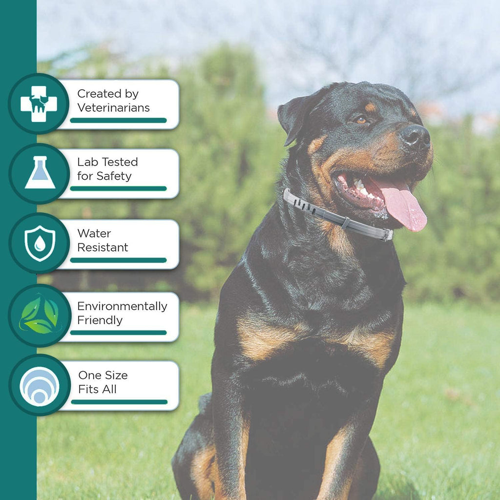 ShengKou dog collar with included flea comb and prevention drops