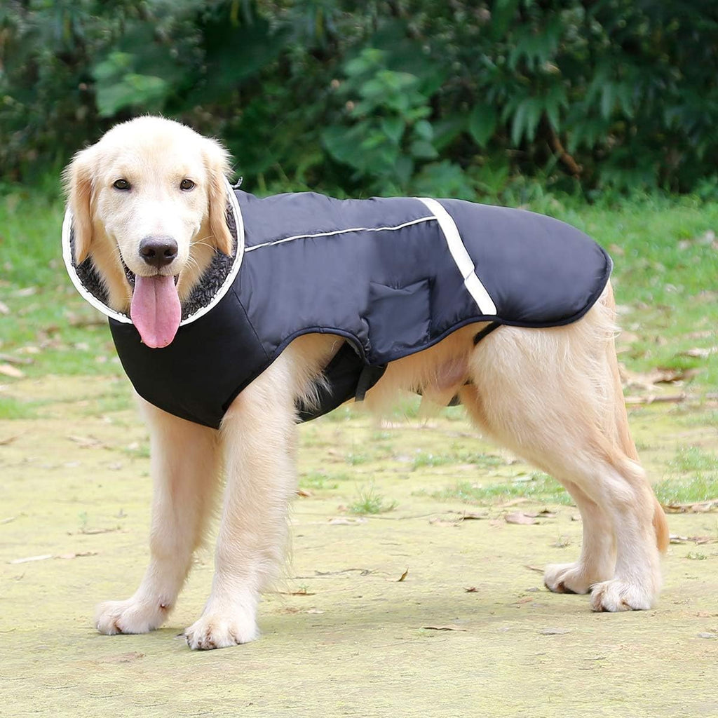 Dog wearing Qbleev fleece lined winter vest