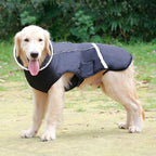 Dog wearing Qbleev fleece lined winter vest