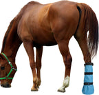 Equine treatment bag with adjustable straps attached to a horse hoof