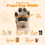 Senior dog walking confidently with Pick For Life socks