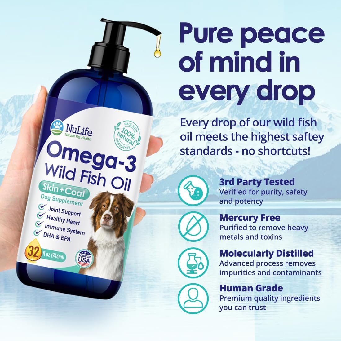 Natural EPA and DHA rich fish oil liquid poured onto dry dog food kibble