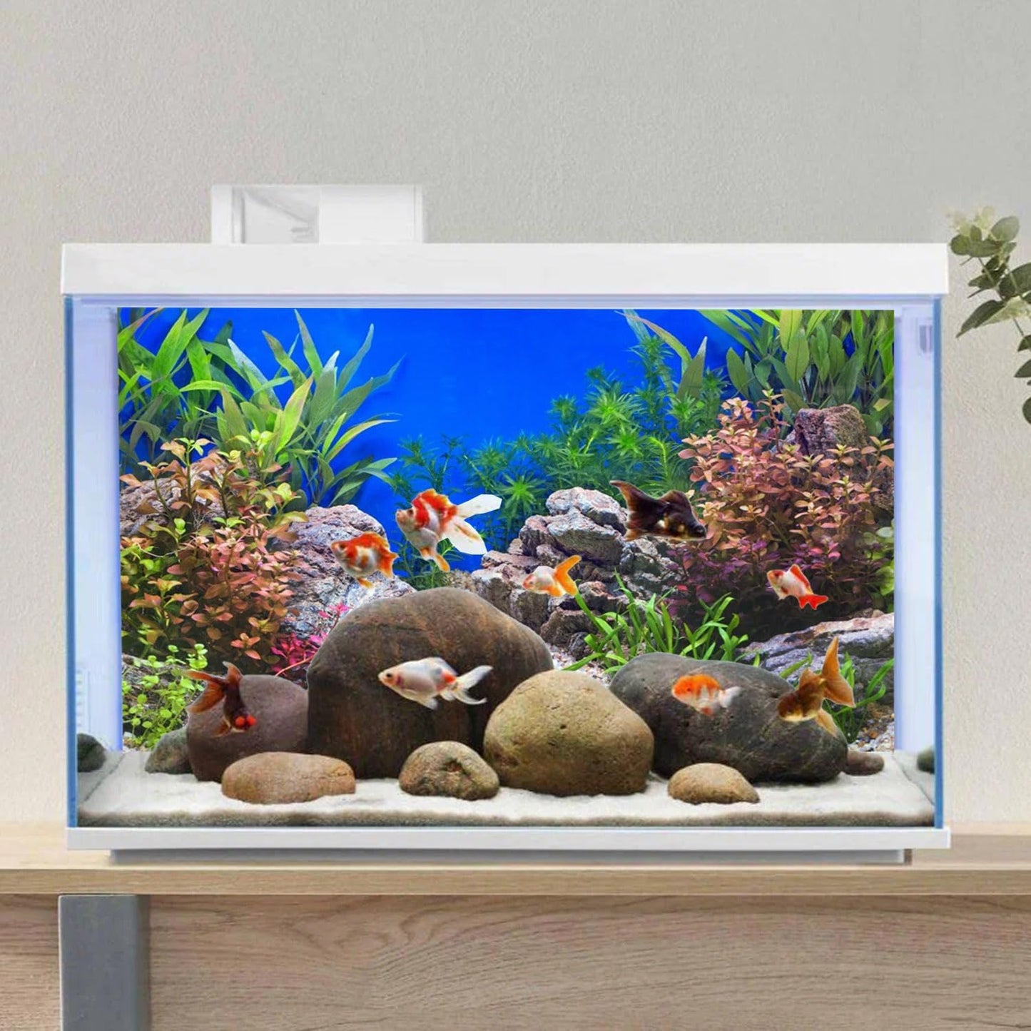 Reptile terrarium decoration backdrop featuring aquatic plants and pebbles imagery