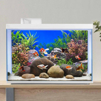 Reptile terrarium decoration backdrop featuring aquatic plants and pebbles imagery