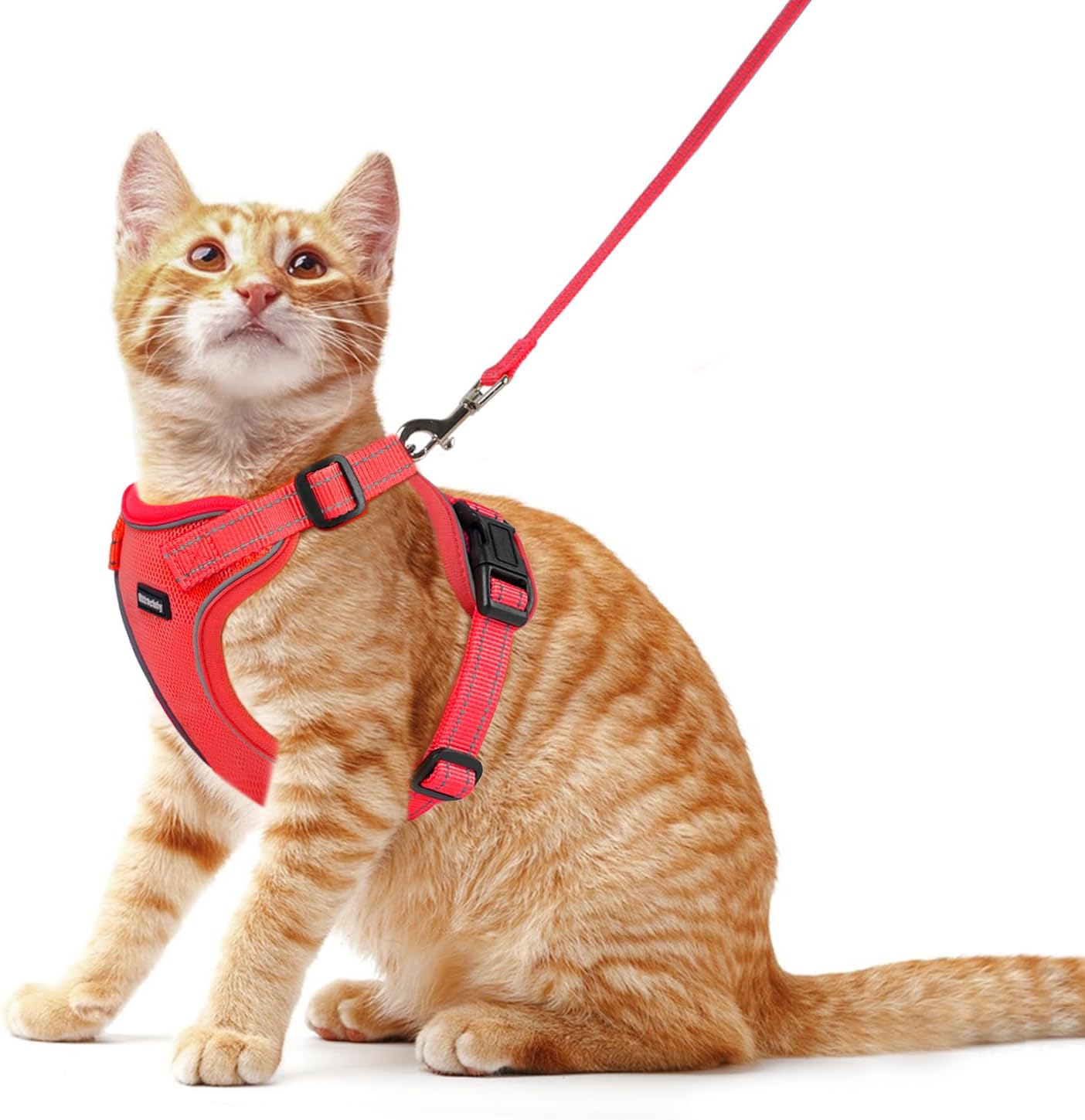 Cat Harness and Leash Set, Escape Proof Cat Harness with Reflective Strips, Breathable Mesh Vest, Adjustable Walking Harness for Indoor Outdoor Cats, Kittens, Small Medium Large Cats (Green, M) - Image 10