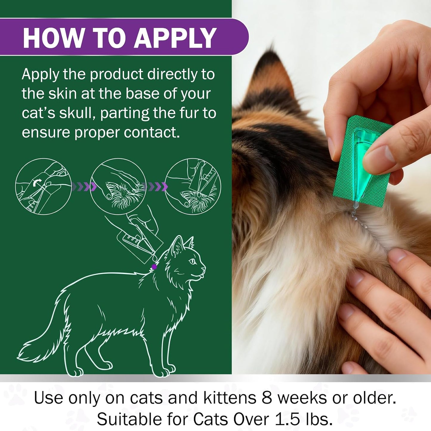 Authentic Catego parasite protection for kittens over one point five pounds