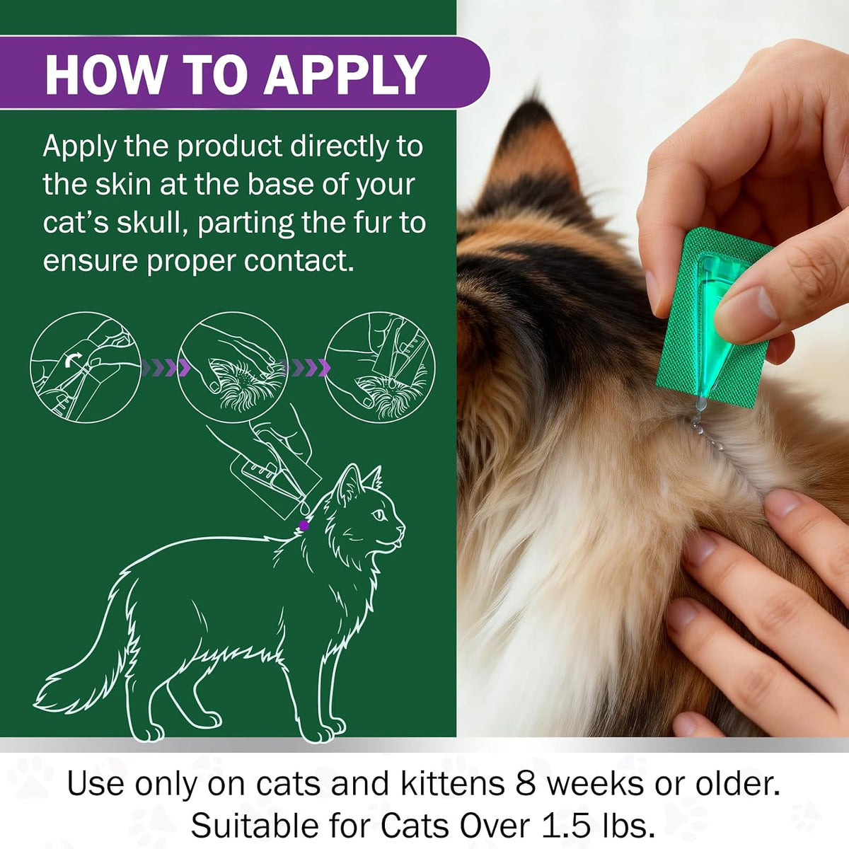 Authentic Catego parasite protection for kittens over one point five pounds