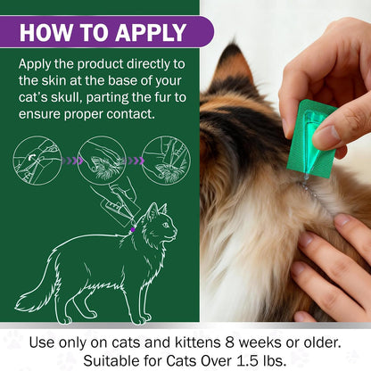 Authentic Catego parasite protection for kittens over one point five pounds