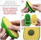 Adhesive backing detail for cat wall toy installation