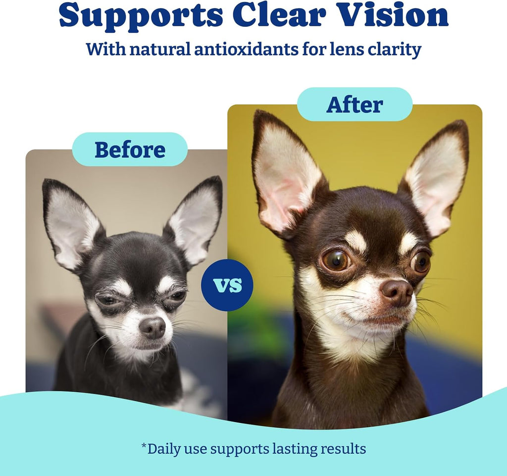 YoYoBay canine vision chews container showcasing immune and eye health benefits