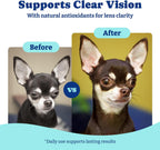 YoYoBay canine vision chews container showcasing immune and eye health benefits