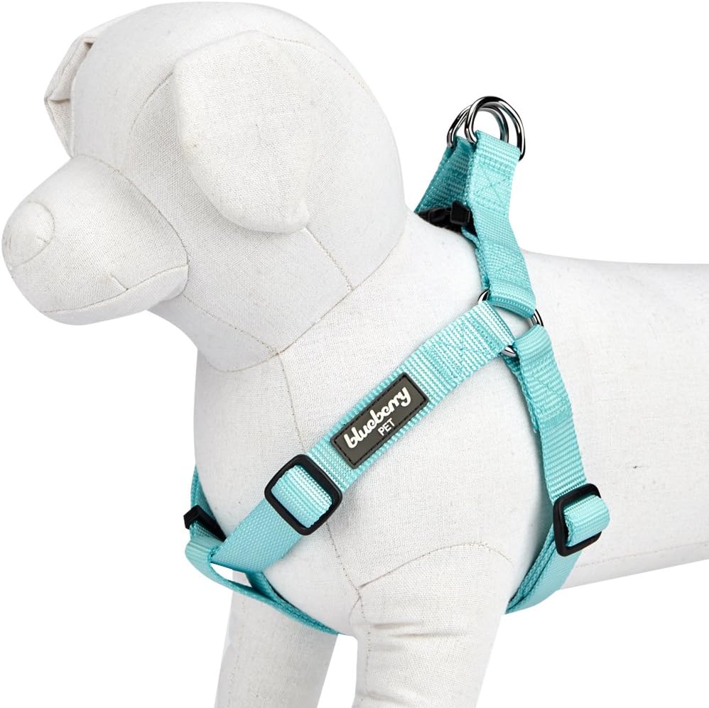 Step-in design mechanism for easy application on small dogs