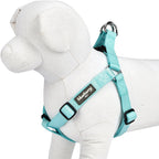 Step-in design mechanism for easy application on small dogs