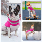 Dog Winter Jacket Cozy Reflective Waterproof Windproof Warm Pet Garment,Comfortable Cold Weather Fleece Apparel Outfits with Zipper Closure for Small Medium Large Dogs Puppy Walking,X-Large - Image 7