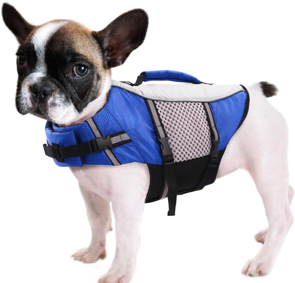 Queenmore dog safety vest metal leash ring close up detail