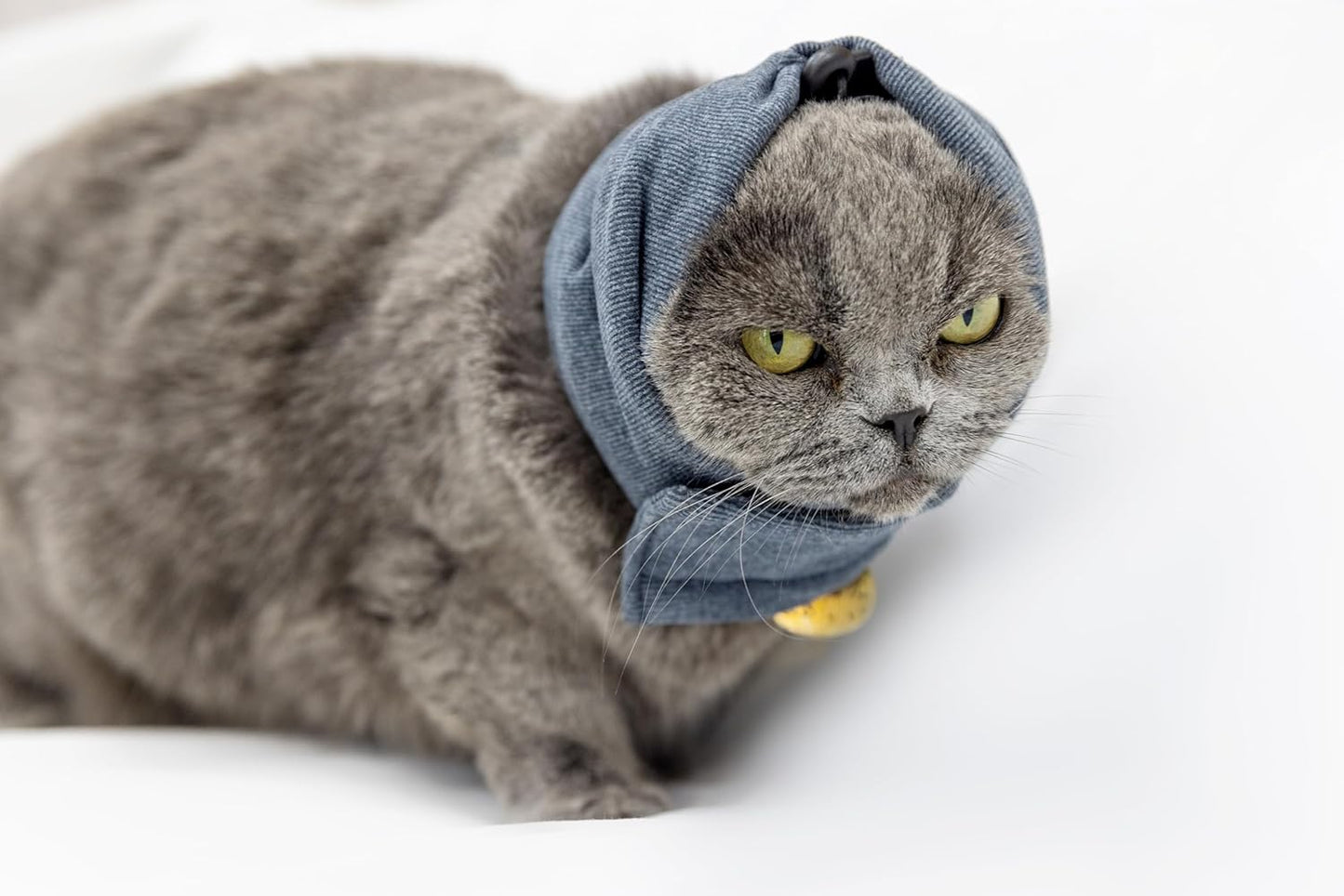 Cat Hematoma Ear Wrap,Noise Cancelling Calming Anxiety & Stress Relief - Ear Cover for cat Purple S - Image 11