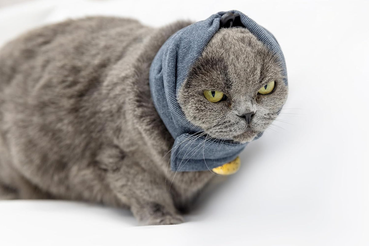 Cat Hematoma Ear Wrap,Noise Cancelling Calming Anxiety & Stress Relief - Ear Cover for cat Purple S - Image 11