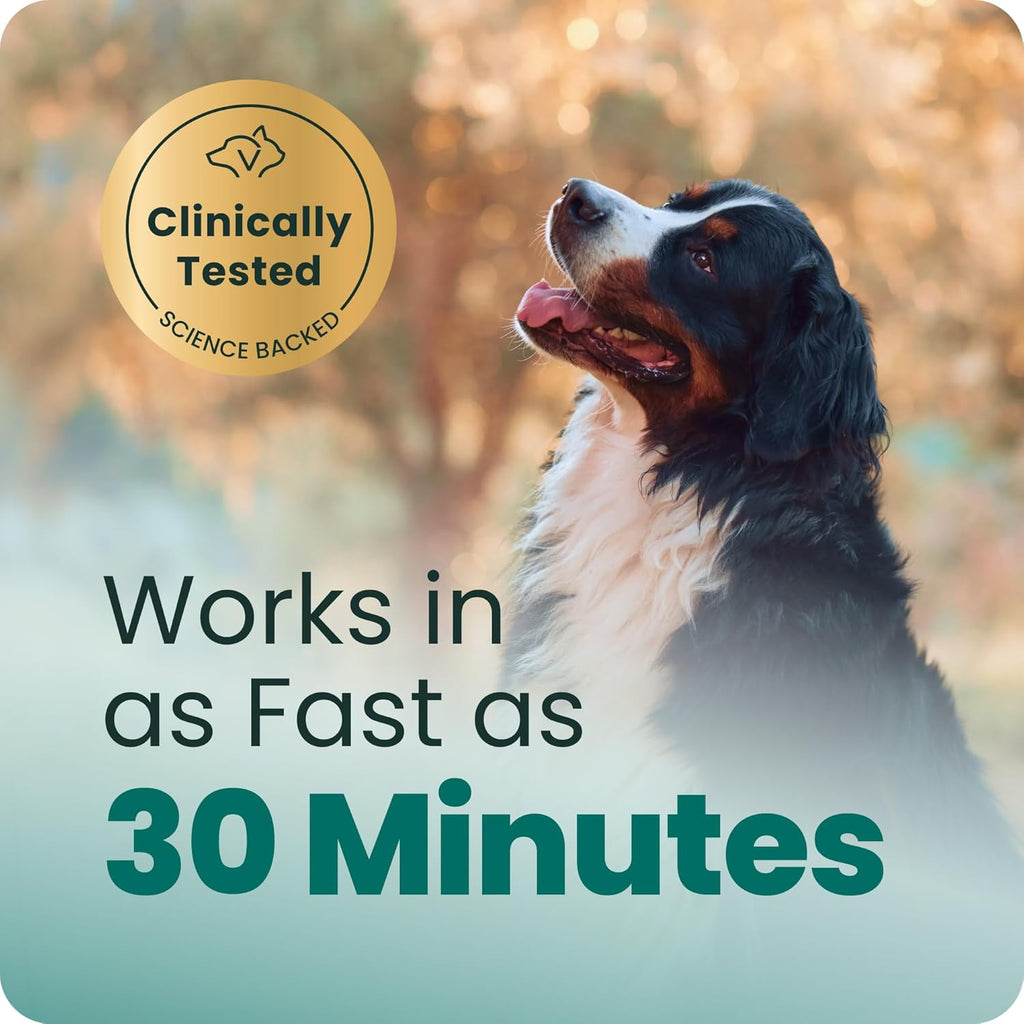 VetriScience dog calming soft chews chicken flavor packaging detailing ingredients