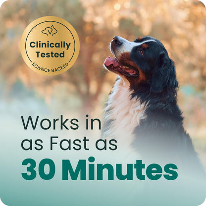 VetriScience dog calming soft chews chicken flavor packaging detailing ingredients