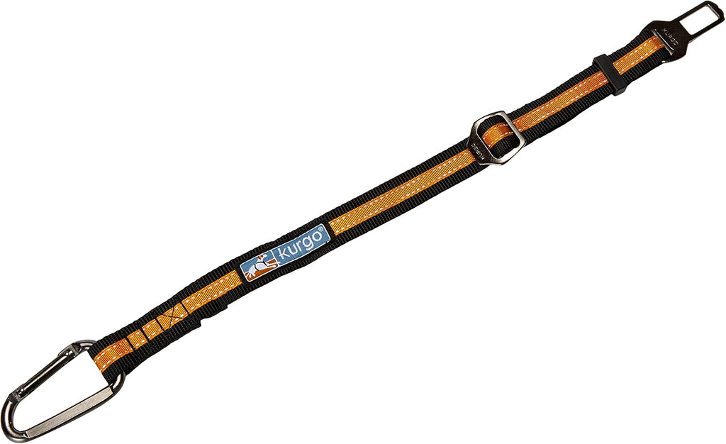 Kurgo backseat dog safety tether installed in car