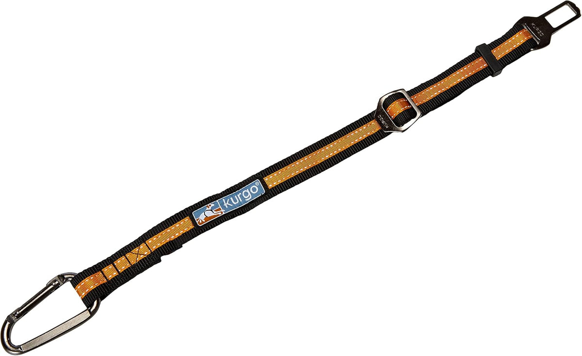 Kurgo backseat dog safety tether installed in car