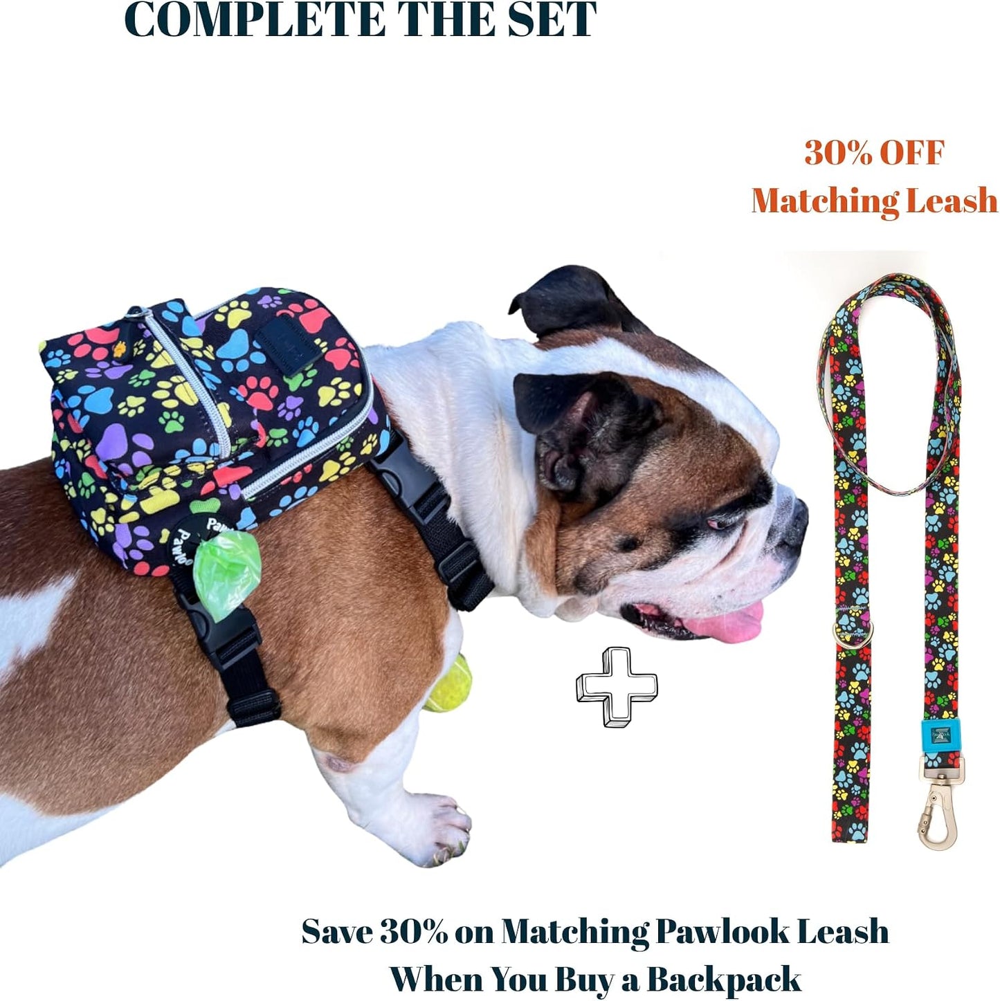 PawLook self carrier saddlebag showing dual leash D-ring attachments