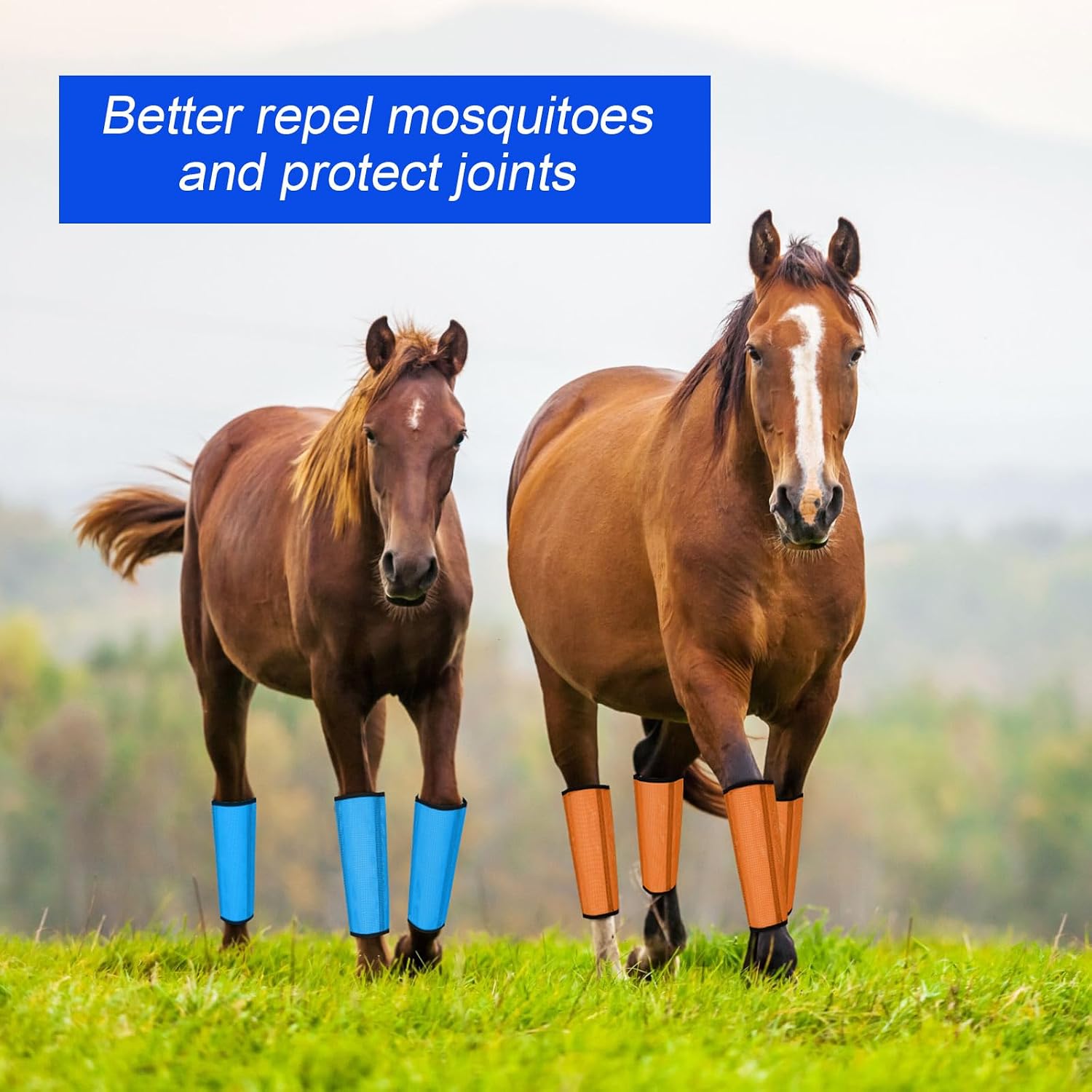 Insect protection horse leggings for pasture and stable use