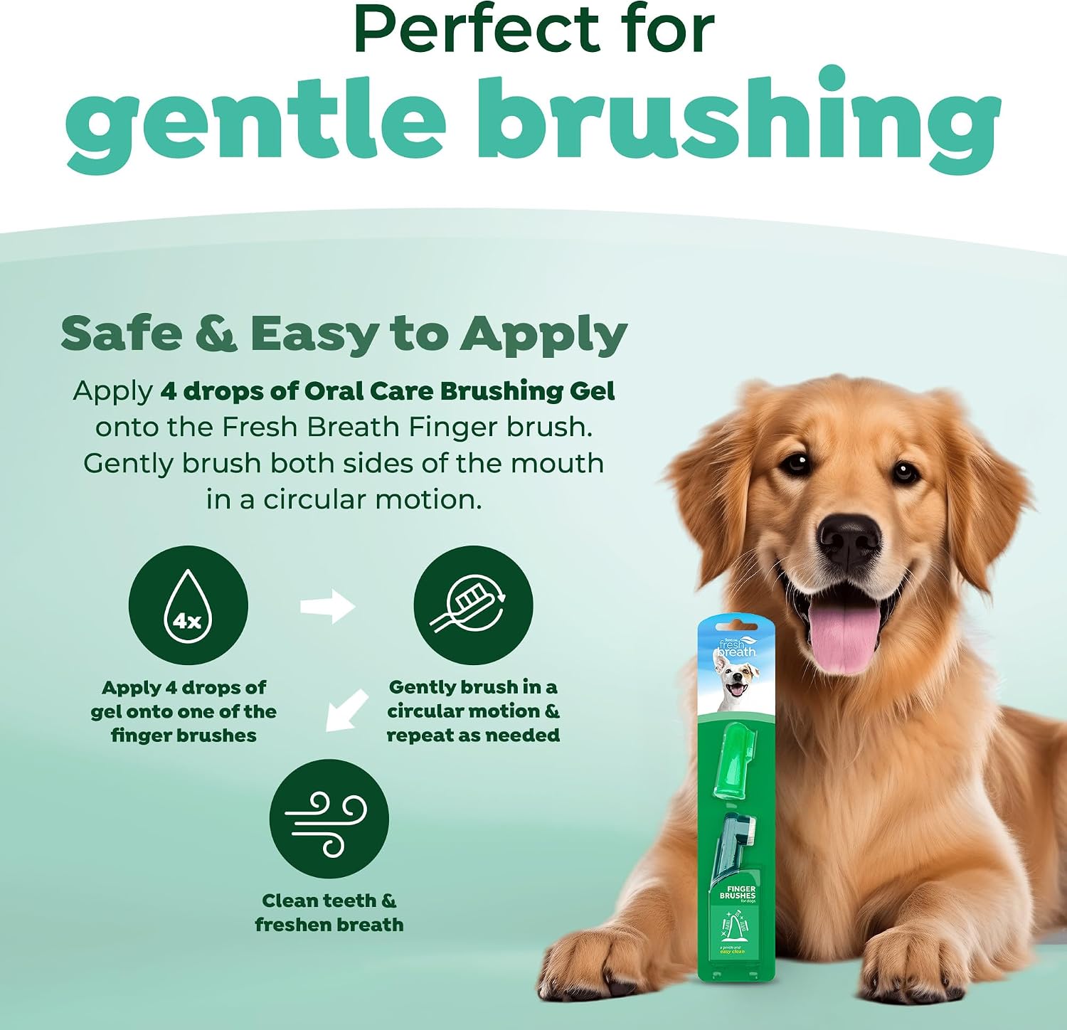 TropiClean Fresh Breath TripleFlex Toothbrush for Large Dogs | Use Toothpaste or Gel | 360-Degree Toothbrush | Complete Dental Care - Image 9